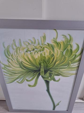 ** KOOPJE Mooie houten lijst met poster achter glas 57X77 cm beschikbaar voor biedingen