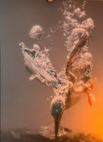 Mooi Schilderij/foto - 1.65 x 1.25 meter., Huis en Inrichting, Ophalen, 125 cm of meer, Zo goed als nieuw, Schilderij