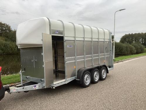 Veetrailer Ifor Williams 3 asser 2024, Auto diversen, Aanhangers en Bagagewagens, Nieuw, Ophalen of Verzenden