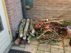Brandhoud te koop, Tuin en Terras, Haardhout, Minder dan 3 m³, Ophalen, Stammen
