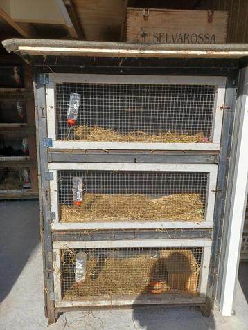 3 delig konijnen of Cavia hok beschikbaar voor biedingen