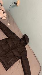 Burrbery winterjas/boddy warmer, Zwart, Ophalen of Verzenden, Zo goed als nieuw, Burberry