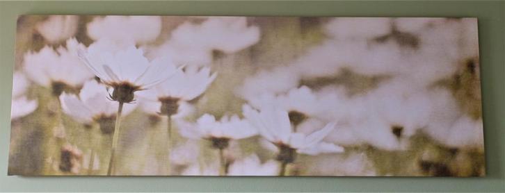 Groot canvas schilderij Piet Klerkx 160x55 groen wit bloemen, Huis en Inrichting, Woonaccessoires | Wanddecoraties, Zo goed als nieuw