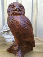 Uil, mooie bosuil als tuindecoratie, vol oxide steen., Ophalen of Verzenden, Steen, Dierenbeeld