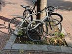 Single Speed Gravel Bike, Gebruikt, Heren, Aluminium, 61 tot 65 cm