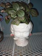 Vintage Bloempot met Kamerplant, Gebruikt, Wit, Aardewerk of Porselein, Ophalen of Verzenden