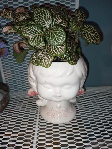 Vintage Bloempot met Kamerplant beschikbaar voor biedingen