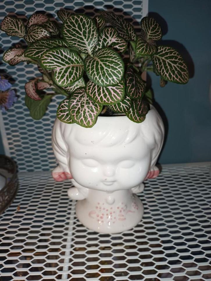 Vintage Bloempot met Kamerplant, Huis en Inrichting, Woonaccessoires | Vazen, Gebruikt, Wit, Minder dan 50 cm, Aardewerk of Porselein