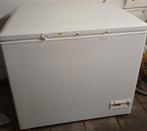 Liebherr GTS3012  vrieskist, Witgoed en Apparatuur, Vriezers en Diepvrieskisten, Ophalen, Gebruikt, 90 cm of meer, 160 cm of meer