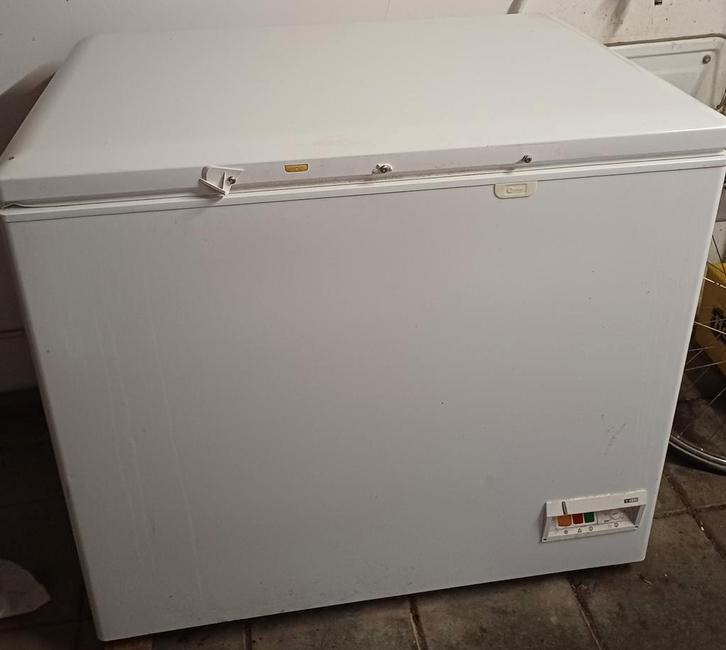 Liebherr GTS3012  vrieskist, Witgoed en Apparatuur, Vriezers en Diepvrieskisten, Gebruikt, 160 cm of meer, 90 cm of meer, Ophalen