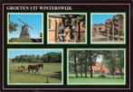 Winterswijk molen paard RM706, Ophalen, 1980 tot heden, Ongelopen, Gelderland
