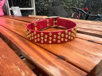 Biothane halsband met strass beschikbaar voor biedingen
