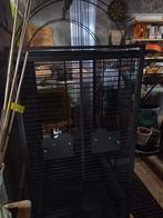 Vogelkooi ( voor Papegaai), Dieren en Toebehoren, Vogels | Hokken en Kooien, Ophalen of Verzenden, Zo goed als nieuw, Metaal, Vogelkooi