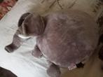 Olifant knuffeldier-kussen, Ophalen, Nieuw, Olifant