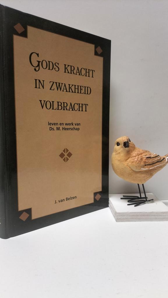 Belzen, J. van; Gods kracht in zwakheid volbracht, Boeken, Godsdienst en Theologie, Gelezen, Christendom | Protestants, Ophalen of Verzenden