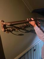 Koperen kapstok eicholtz, Huis en Inrichting, Woonaccessoires | Kapstokken, Wandkapstok, Overige materialen, Ophalen of Verzenden