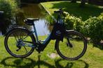 Nieuw ! Pegasus Premio EVO Framemaat 55 cm 625 WH accu, Nieuw, Overige merken