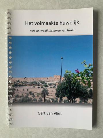 Het volmaakte huwelijk - Gert van Vliet beschikbaar voor biedingen