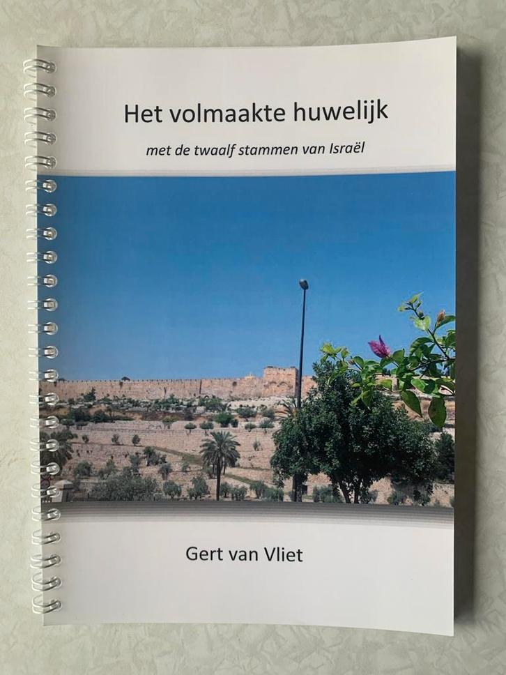 Het volmaakte huwelijk - Gert van Vliet, Boeken, Godsdienst en Theologie, Zo goed als nieuw, Jodendom, Ophalen of Verzenden