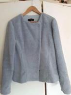 Claudia Strater jasje S, Zo goed als nieuw, Maat 36 (S), Verzenden, Blauw
