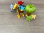 Duplo Jungle Dieren Set, Ophalen of Verzenden, Gebruikt, Losse stenen, Duplo