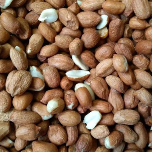 Pinda's 20kg - Buitenvogelvoer, Dieren en Toebehoren, Vogels | Toebehoren, Nieuw, Eten en Drinken, Verzenden