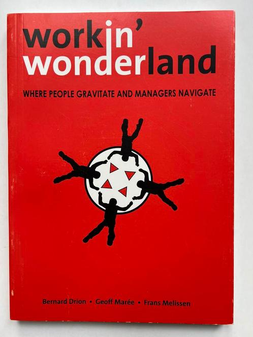 Geoff Maree - Workin' Wonderland, Boeken, Advies, Hulp en Training, Zo goed als nieuw, Ophalen