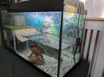Aquarium gratis, Dieren en Toebehoren, Ophalen, Gebruikt, Leeg aquarium