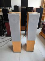 audiovector mi 3 signature, Audio, Tv en Foto, Luidsprekers, Overige merken, Ophalen of Verzenden, Zo goed als nieuw, 120 watt of meer