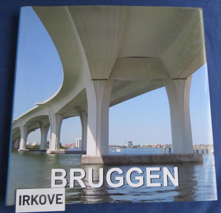 BRUGGEN *  Willemien Werkman *, Boeken, Kunst en Cultuur | Architectuur, Zo goed als nieuw, Architectuur algemeen, Verzenden