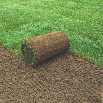 GEZOCHT: Gratis graszoden 4 stuks beschikbaar voor biedingen