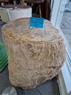 Versteend houten stam van 83 kilo!, Ophalen