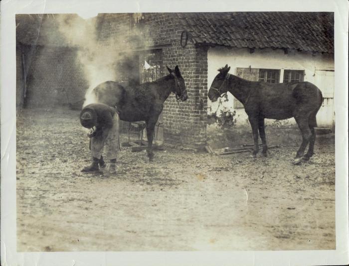 Eerste Wereldoorlog, Nieuw Zeelanders aan westelijke front, Gebruikt, Verzenden, Foto, Voor 1940