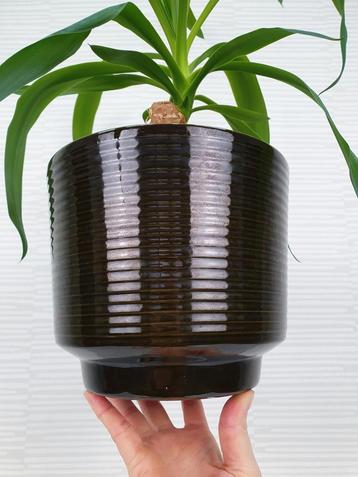 XL bloempot aardewerk. Vintage plantenpot groen keramiek. beschikbaar voor biedingen