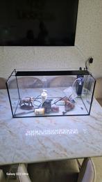 aquarium Compleet, Ophalen, Zo goed als nieuw, Gevuld zoetwateraquarium