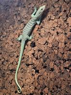 Varanus Prasinus 0.0.3, Dieren en Toebehoren, Hagedis, Tam, 0 tot 2 jaar