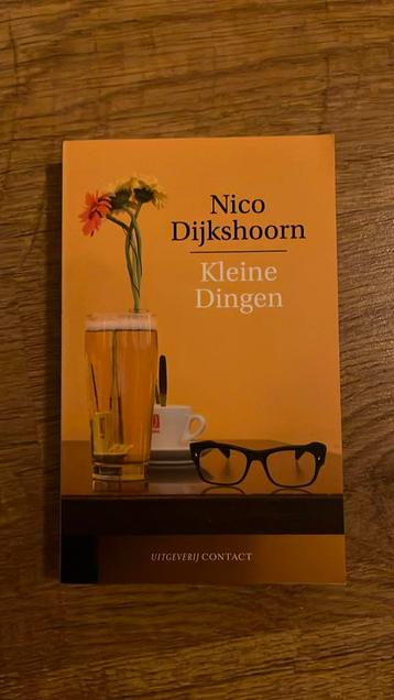 Kleine dingen - Nico Dijkshoorn