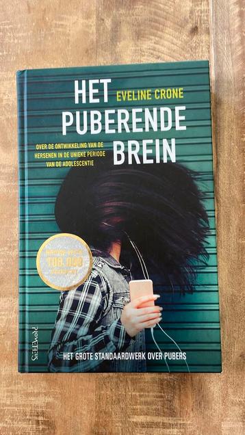 Eveline Crone - Het puberende brein beschikbaar voor biedingen