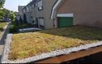 Sedum cassettes voor snel zelf te maken groen dak, Ophalen of Verzenden, Zomer, Volle zon