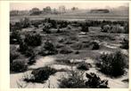 landschap bij Vorstenbosch, Martien Coppens, Verzamelen, Verzenden, Ongelopen, Noord-Brabant