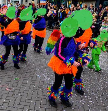 14x vogel of papegaai pak / carnaval loopgroep kind kinderen beschikbaar voor biedingen