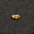 1 st Goud Nugget 3*2mm, Ophalen of Verzenden, Goud