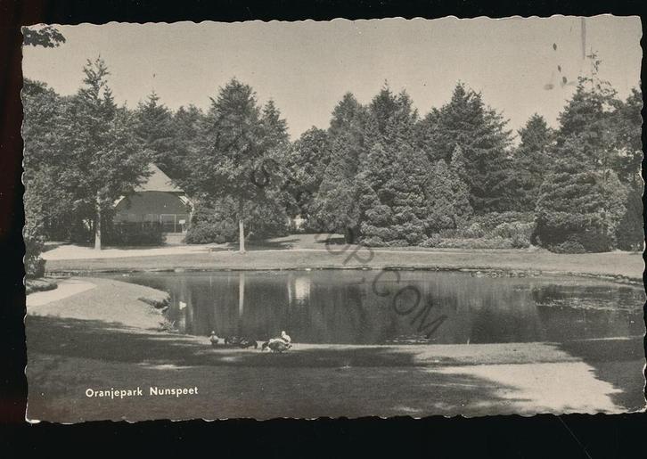 Nunspeet - Oranjepark [KRST009-1703, Verzamelen, Ansichtkaarten | Nederland, Gelopen, Gelderland, 1940 tot 1960, Verzenden