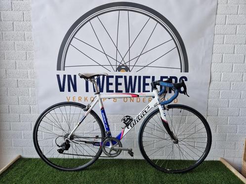 Willier Triestina Team Lampre Replica 28" 50cm D9, Fietsen en Brommers, Fietsen | Racefietsen, Zo goed als nieuw, Dames, Overige merken