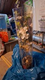 Hoge vaas, Ophalen of Verzenden, Zo goed als nieuw