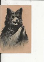 Hond aan het bidden profile 31 jan 1902, Verzenden, Voor 1920, Gelopen, Overige thema's