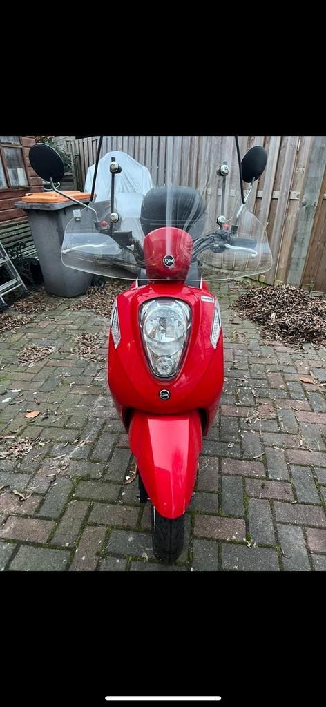 Sym Mio 50i - 2019 - Slechts 1500km!, Fietsen en Brommers, Scooters | SYM, Zo goed als nieuw, Maximaal 45 km/u, Ophalen