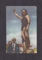 Sportplaatje Nel van Vliet Zwemster Europees Kampioen 220 m., Ophalen of Verzenden, Zo goed als nieuw