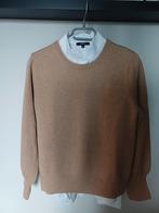 Nieuwe PURDEY camelkleurige trui maat M, Ophalen of Verzenden, Nieuw, Maat 38/40 (M)
