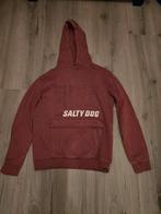 Leuke salty dog trui maat 158 / 164, Kinderen en Baby's, Kinderkleding | Maat 158, Ophalen of Verzenden, Zo goed als nieuw, Jongen